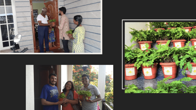 Plant and Greet!